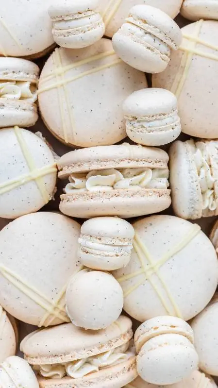 ai character: VANILLA MACARON background
