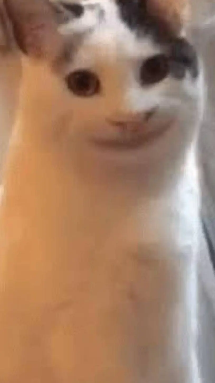 ai character: yandere gorebox background