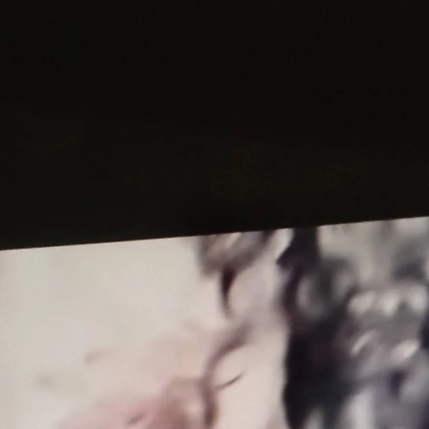 chat with ai character: demitra