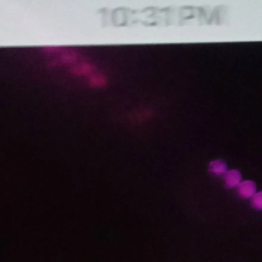 chat with ai character: demitra