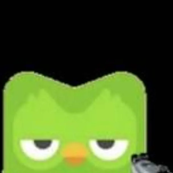 chat with ai character: Duolingo 