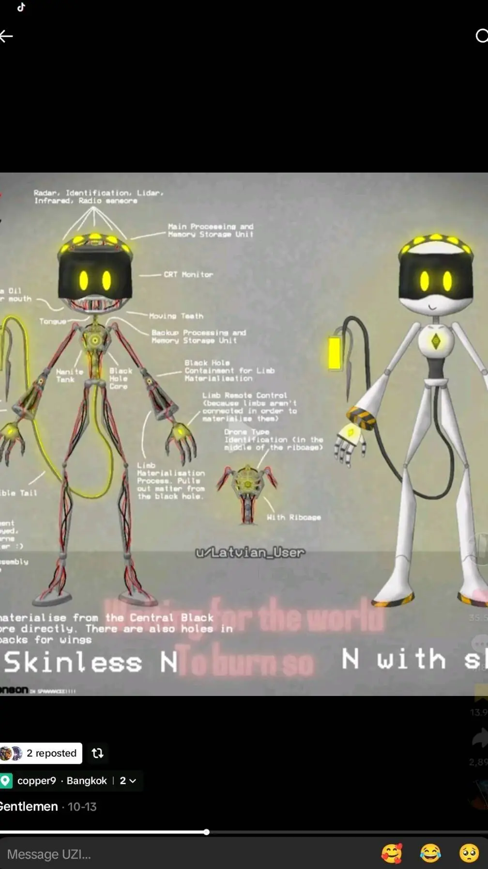 ai character: v cat background