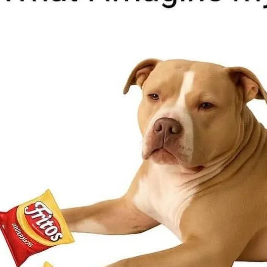 chat with ai character: dog eating chips