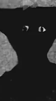 ai character: ... background