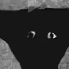 chat with ai character: ...