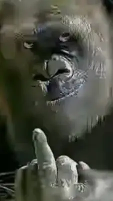 ai character: monkey teacher background