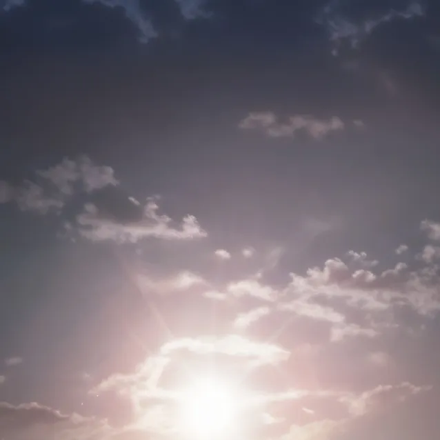 chat with ai character: CornField