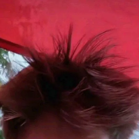 chat with ai character: adam