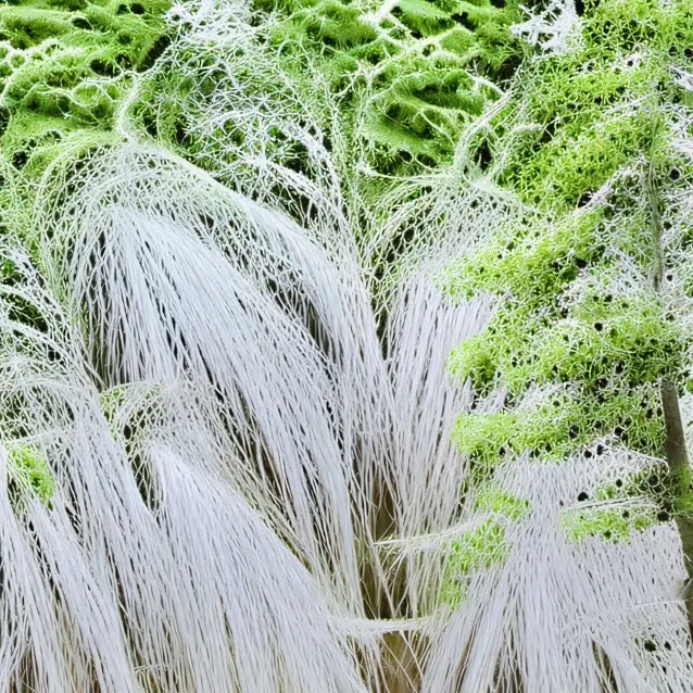 chat with ai character: Misha 