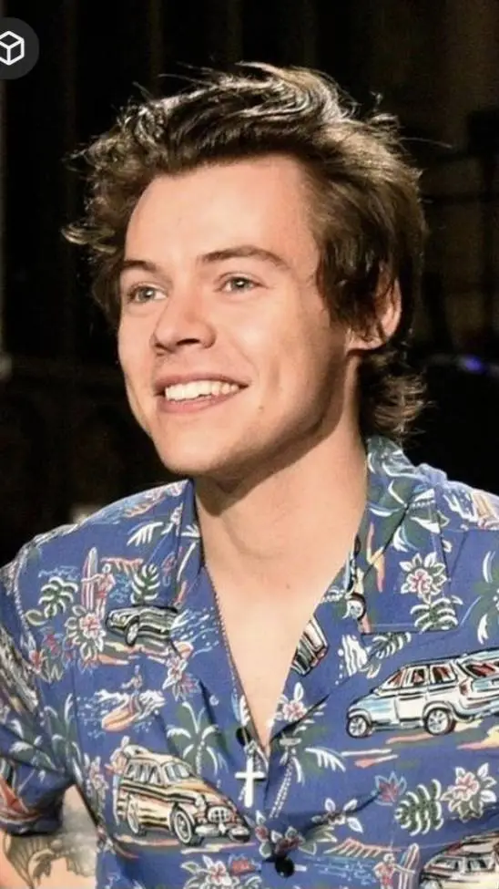 ai character: Harry Styles  background