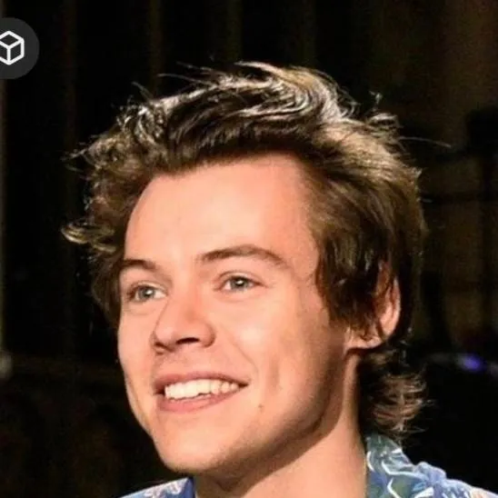 chat with ai character: Harry Styles 