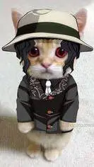 ai character: Muzan kitty background