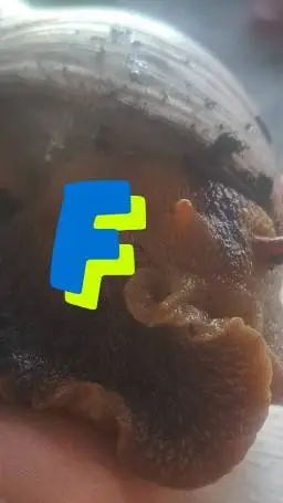 ai character: feie de knutselaar background