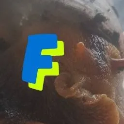 chat with ai character: feie de knutselaar