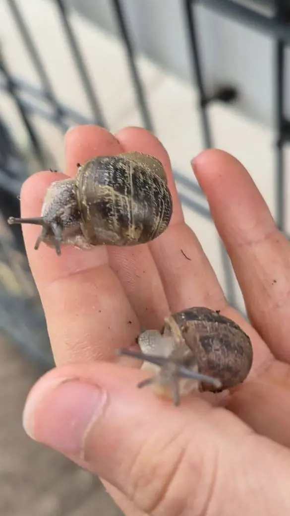 ai character: slakkenvriend,fill background