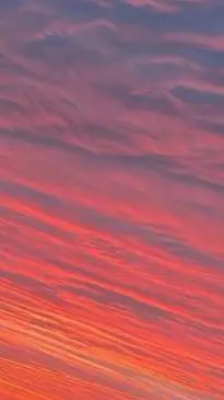 Talkie AI - Chat with lost in shops