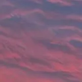 chat with ai character: lost in shops