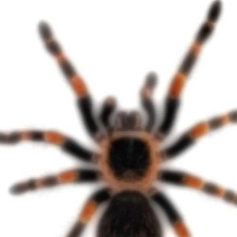 chat with ai character: Conduces una exca-