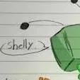 chat with ai character: chicken shelly