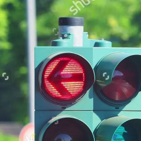 chat with ai character: traffic light EU
