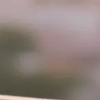 chat with ai character: dog