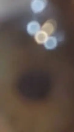 ai character: dog background