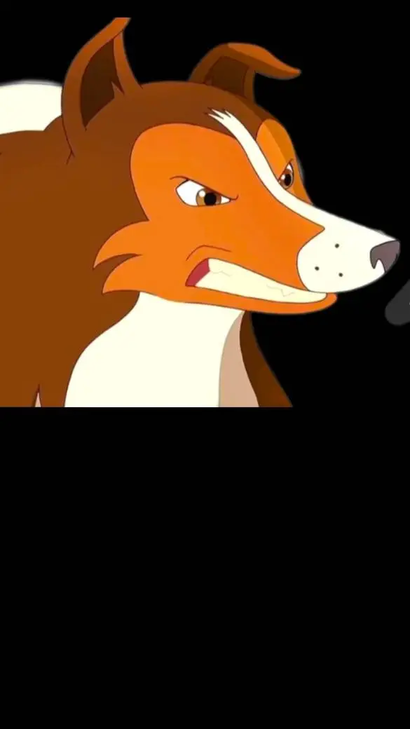 Lassie visual data 5