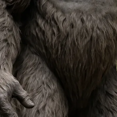 chat with ai character: BIG FOOT 