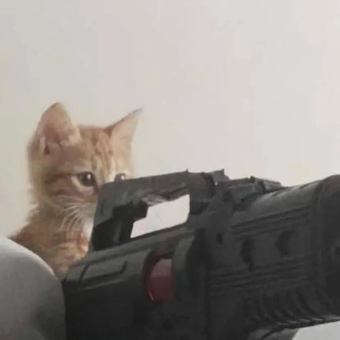 chat with ai character: kitten with gun