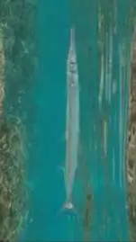 ai character: needlefish background