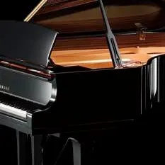 chat with ai character: piano