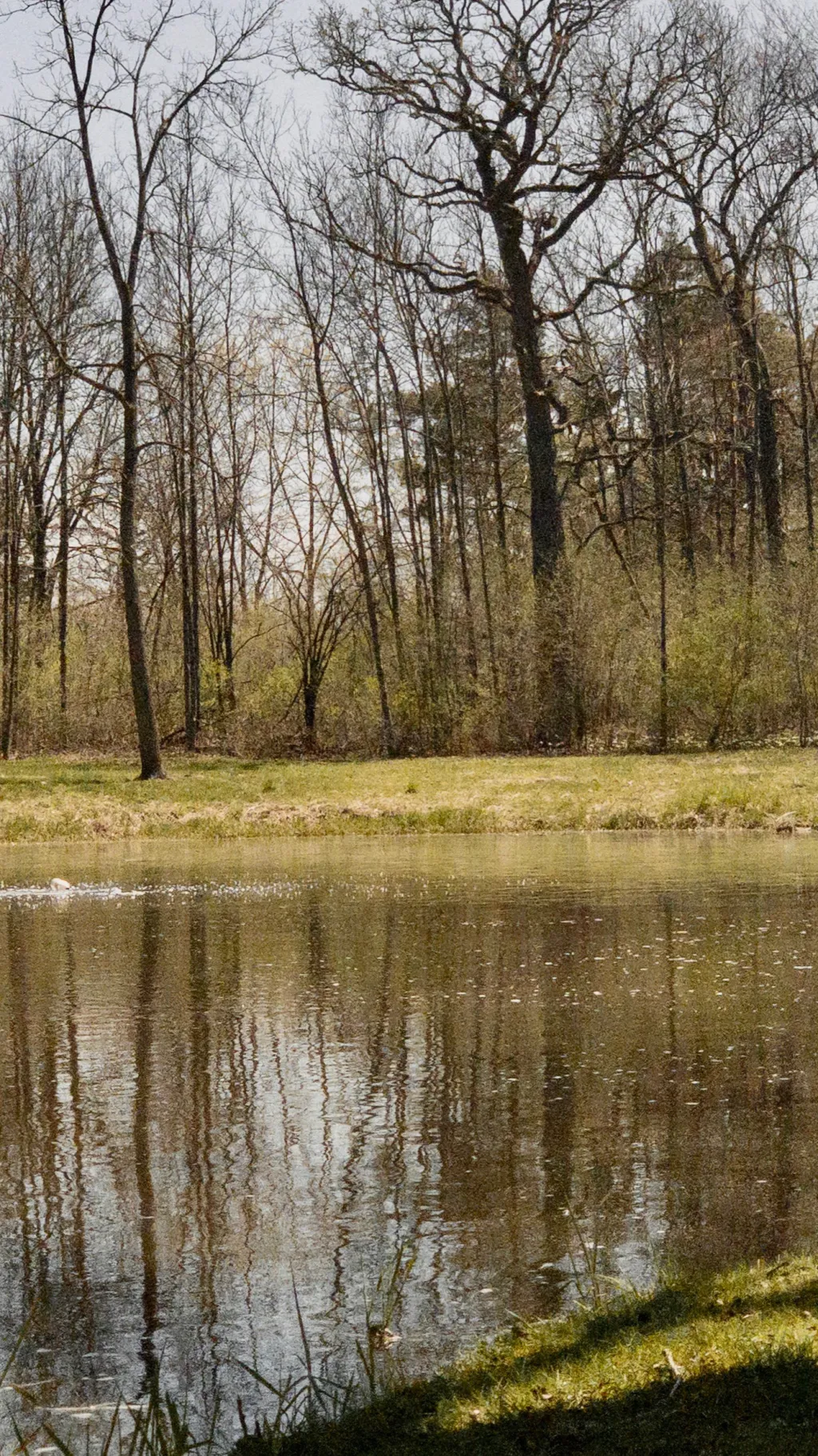 ai character: TEEN CENTER background