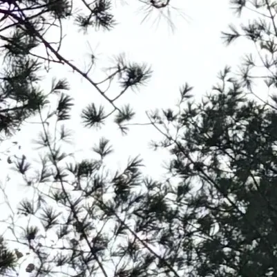 chat with ai character: Lost