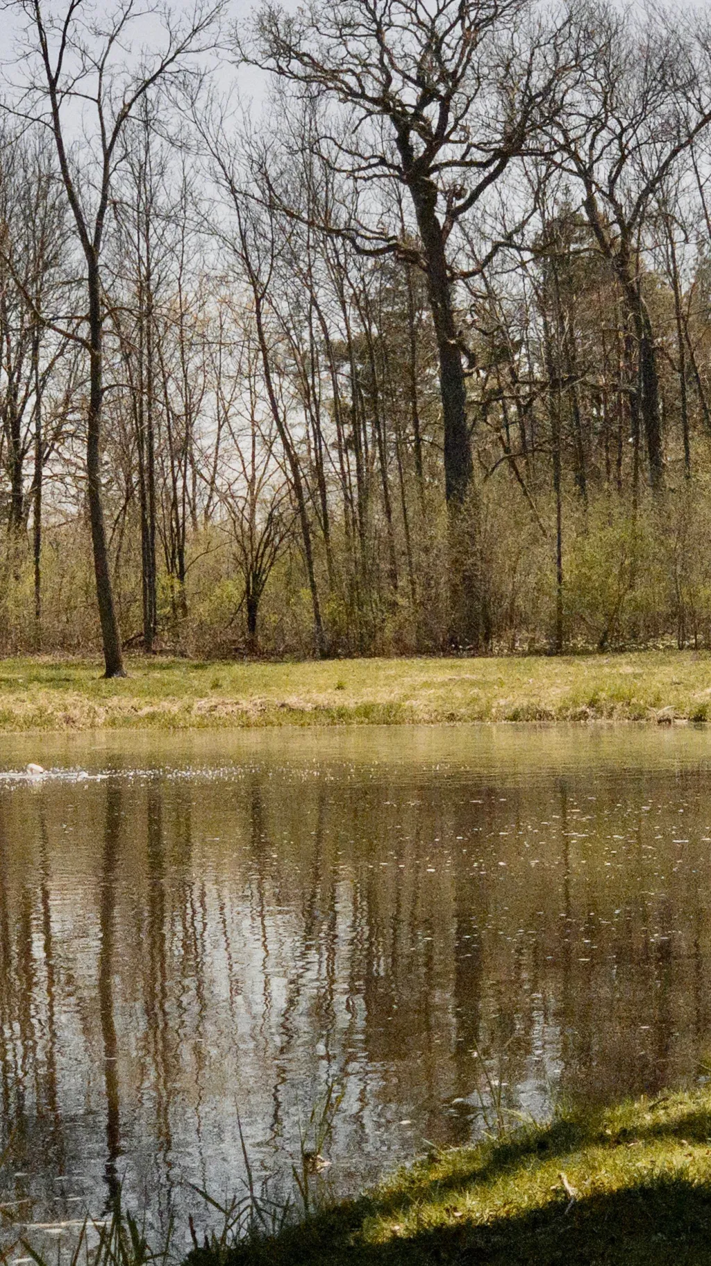 ai character: THE friend group background