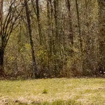 chat with ai character: THE friend group