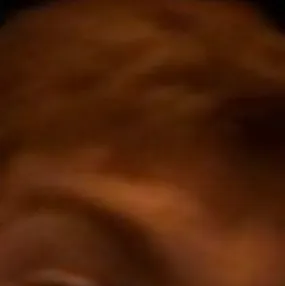 chat with ai character: TMR