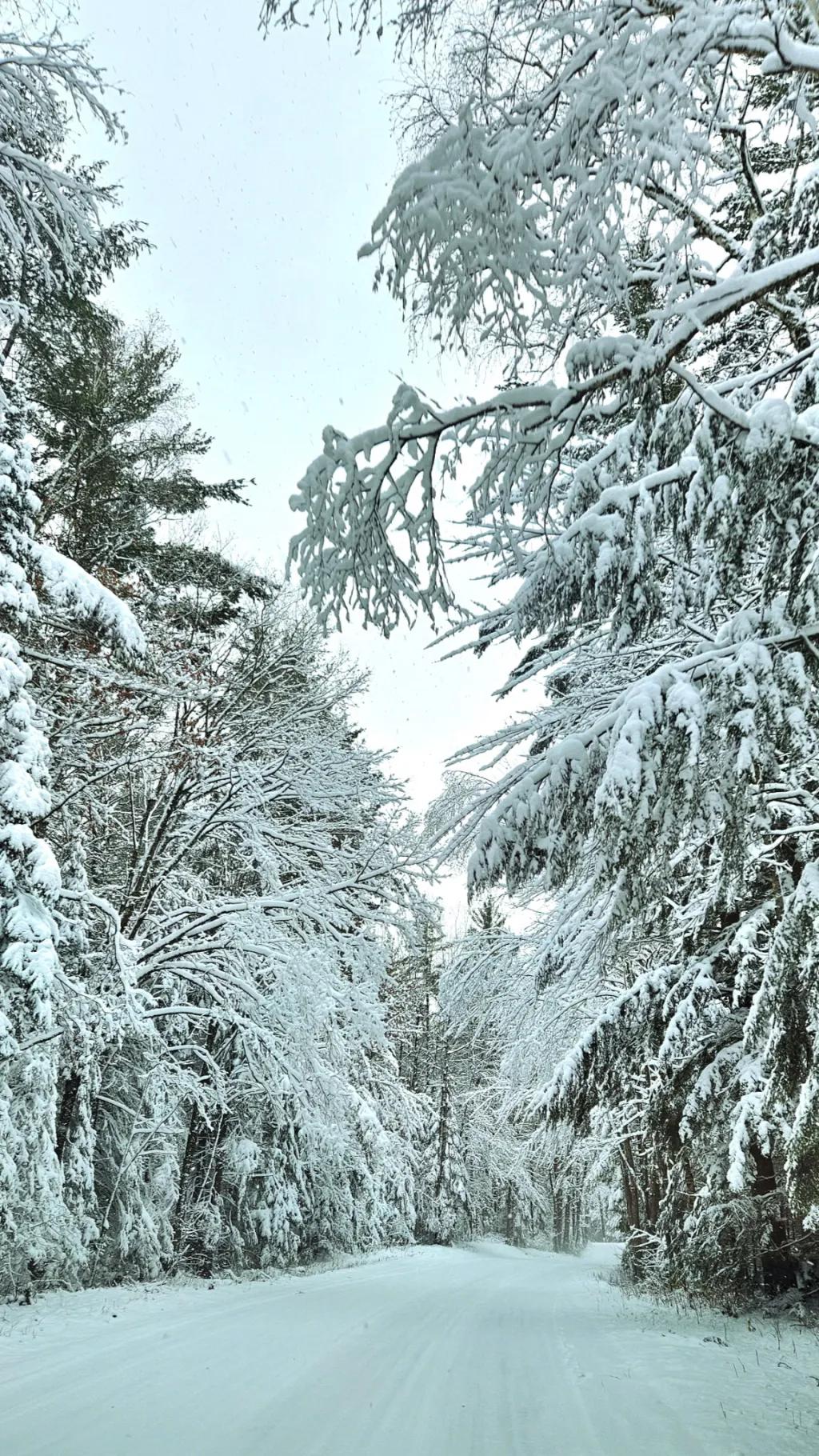 ai character: Gilmore Girls!! background