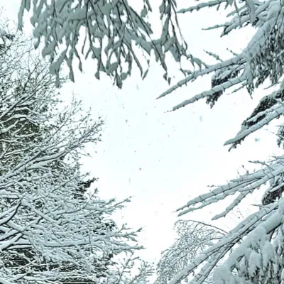 chat with ai character: Gilmore Girls!!