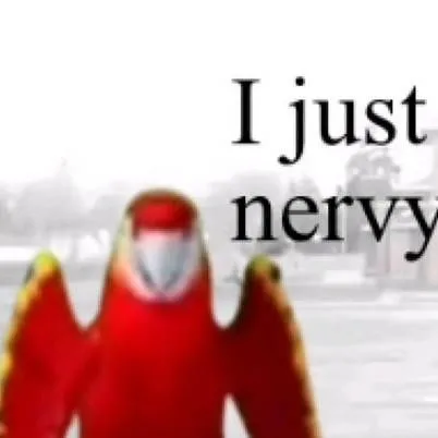 chat with ai character: Ron (The Parrot)