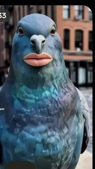 ai character: Ai Pigeon  background