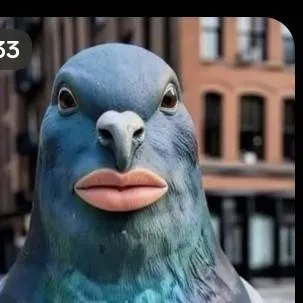 chat with ai character: Ai Pigeon 
