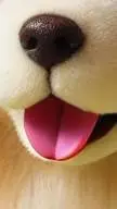 ai character: your doggy background