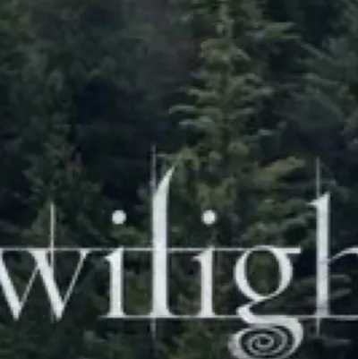 chat with ai character: Twilight-Y/n