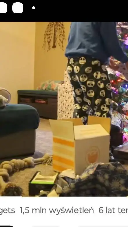 ai character: Anger dad background