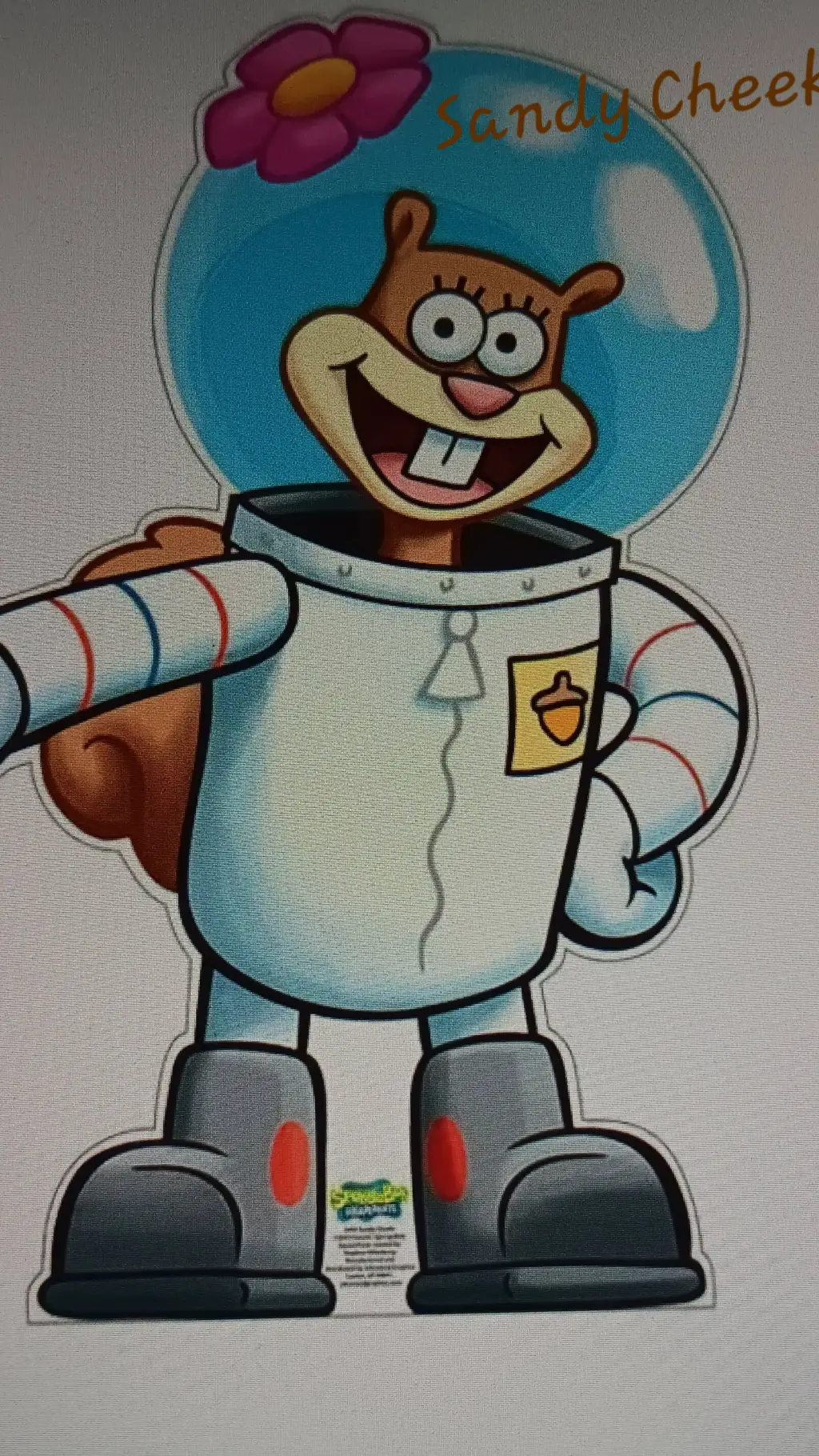 ai character: Sandy Cheeks background