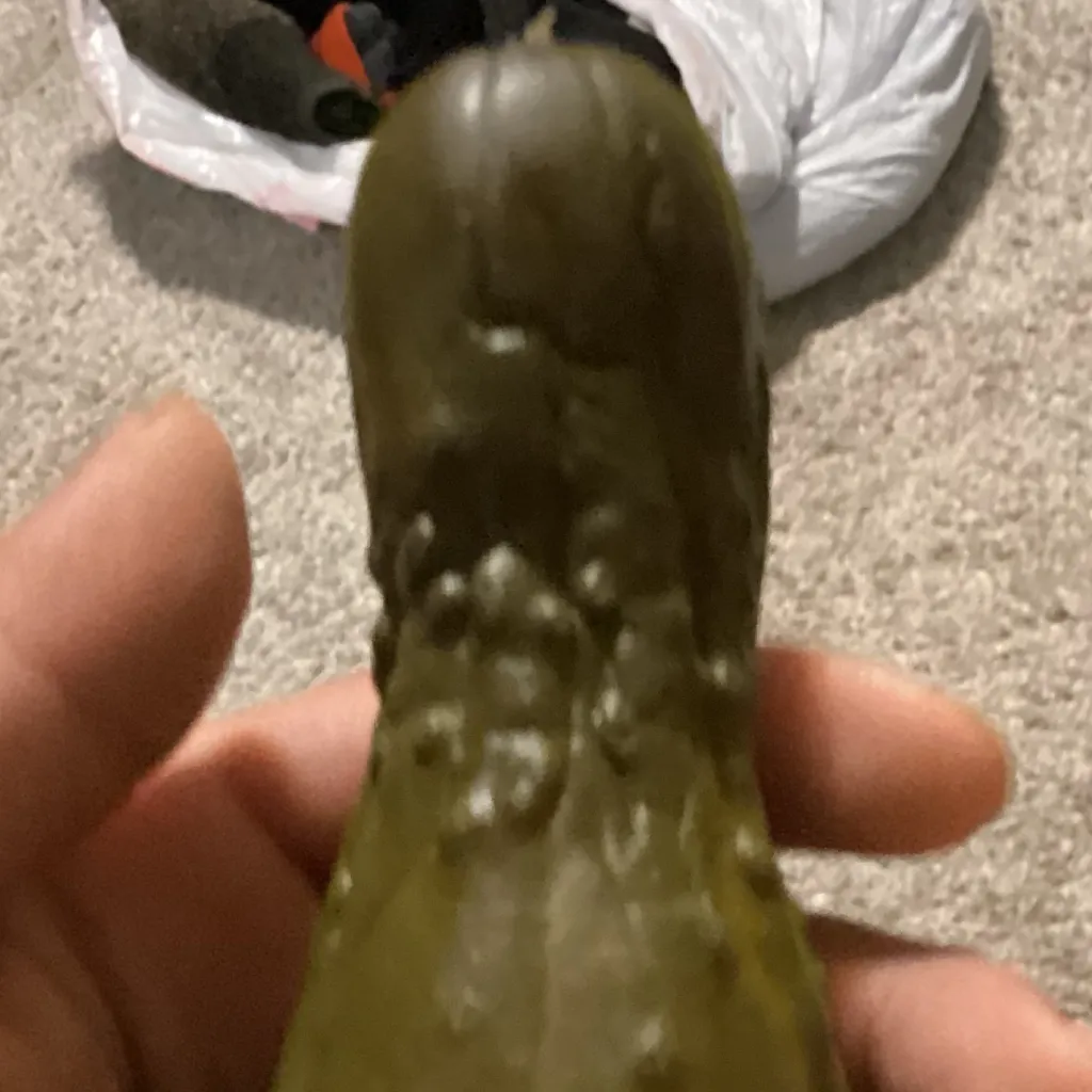 chat with ai character: Mr.pickled