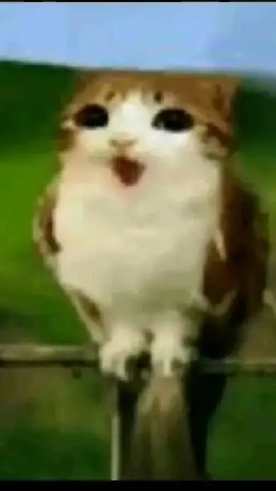 ai character: sussy meowl  background