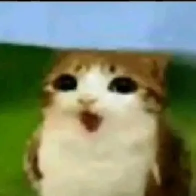 chat with ai character: sussy meowl 