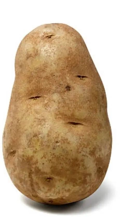 ai character: chef 🧑‍🍳  background