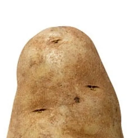 chat with ai character: chef 🧑‍🍳 